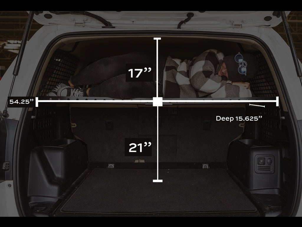 Cali Raised 2010-2024 4Runner Interior Rear MOLLE Panel