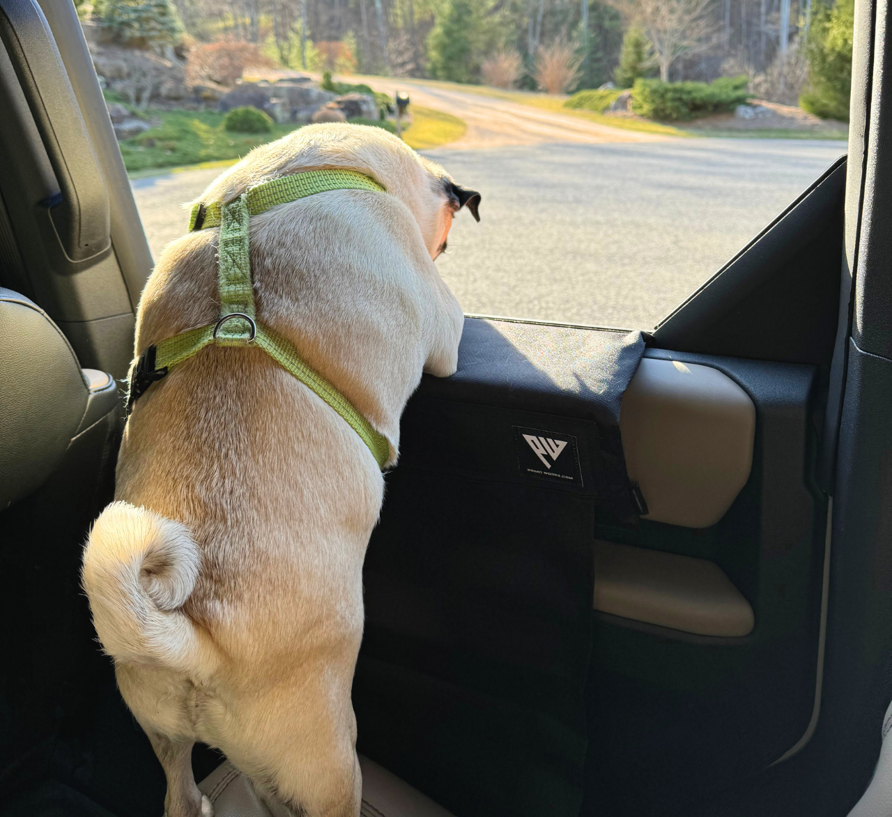 Paw Protector